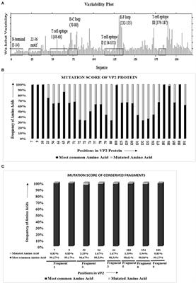 In silico Evolutionary Divergence Analysis Suggests the Potentiality of Capsid Protein VP2 in Serotype-Independent Foot-and-Mouth Disease Virus Detection